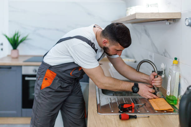 Best Toilet Repair Services  in Leadville, CO